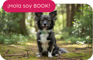 Book